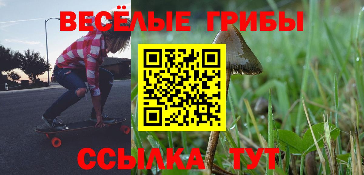 Псилоцибиновые грибы мицелий  Галлюциногенные грибы ЛСД  Вход с VPN  Вольск 